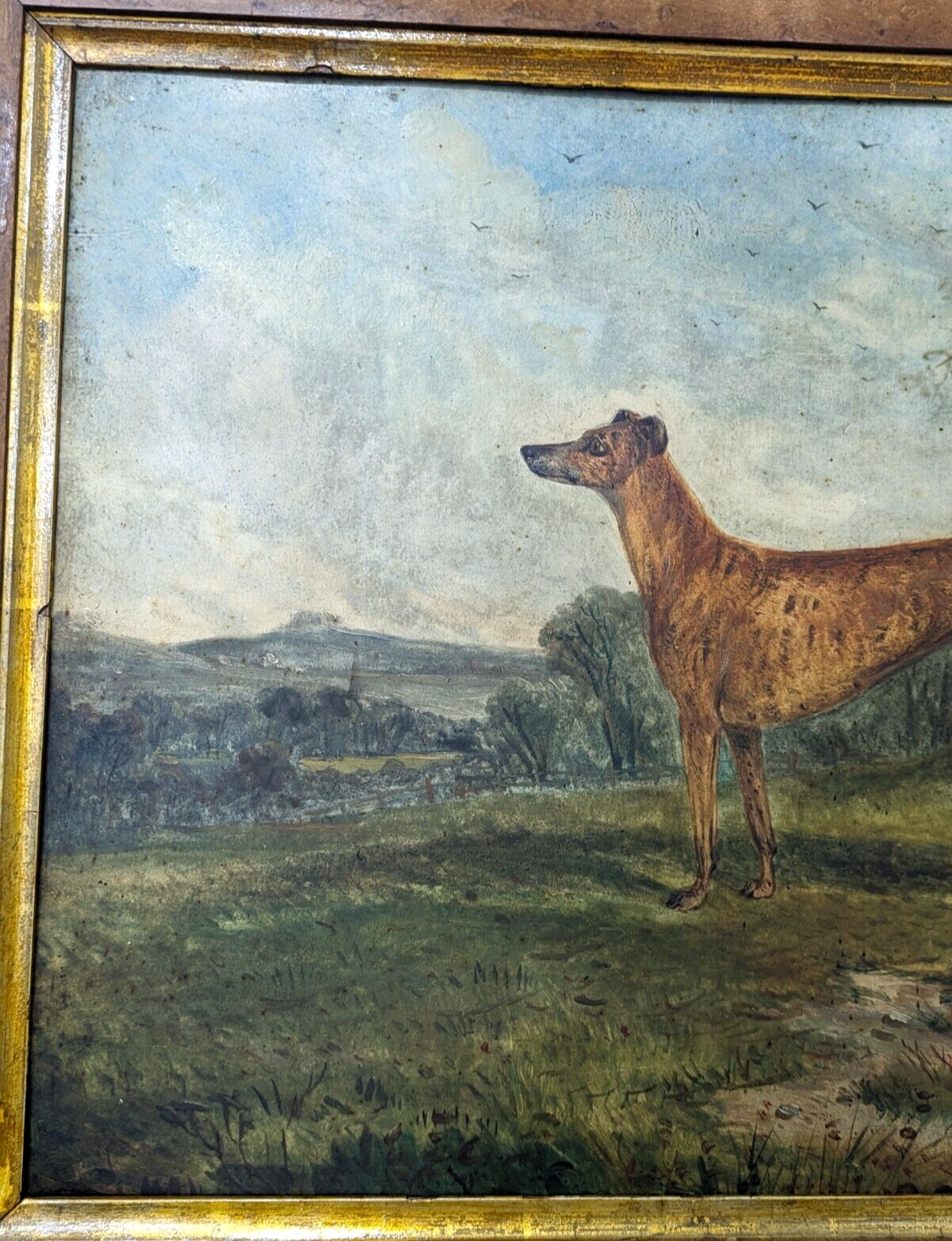 Rare Richard Whitford Victorian Prized Greyhound English Oil Painting 19th Cent