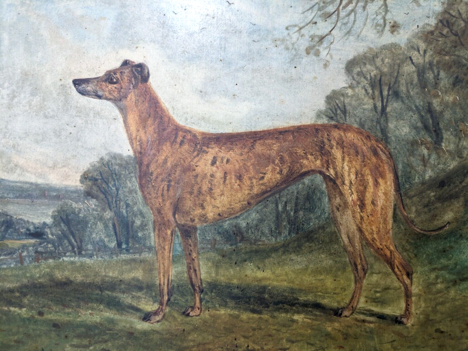 Rare Richard Whitford Victorian Prized Greyhound English Oil Painting 19th Cent