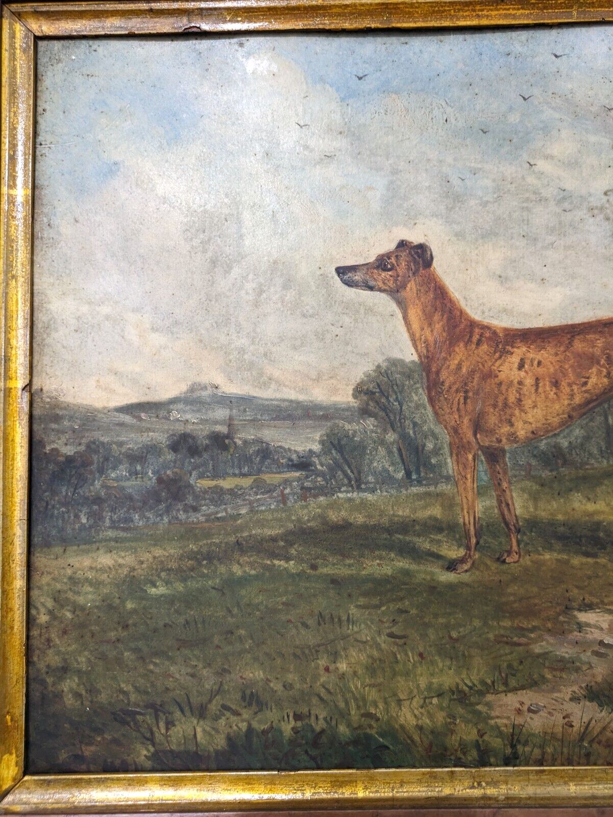 Rare Richard Whitford Victorian Prized Greyhound English Oil Painting 19th Cent