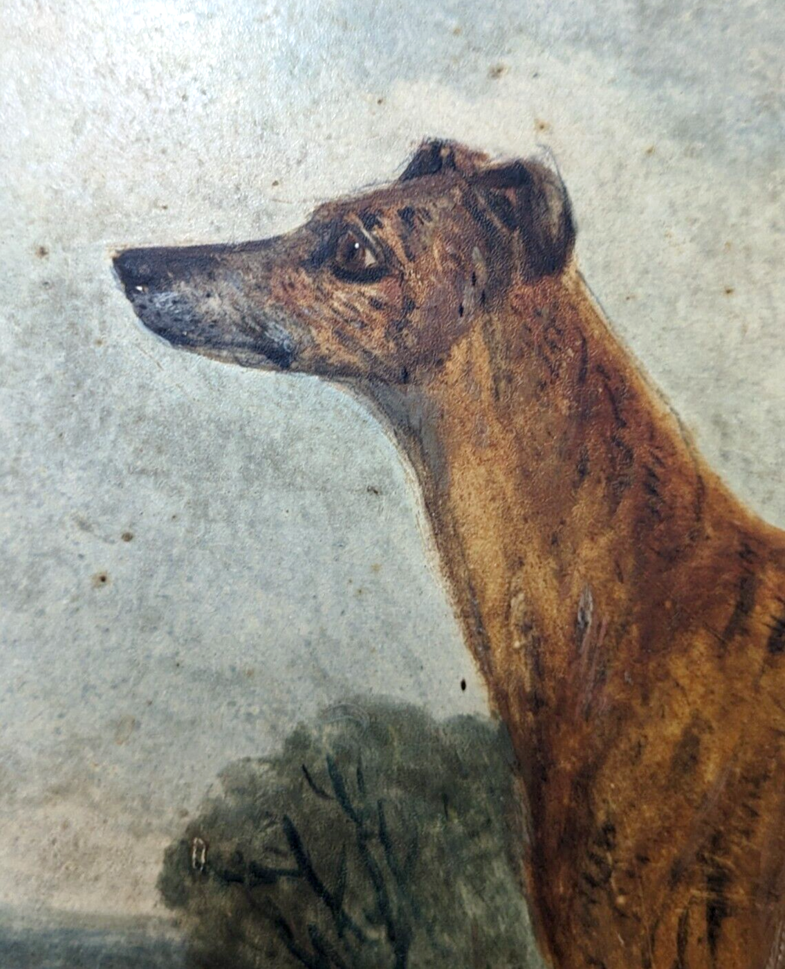 Rare Richard Whitford Victorian Prized Greyhound English Oil Painting 19th Cent