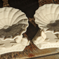 Rare Pair of Copeland 19th Century Parian Porcelain Dolphin Salt Cellars Antique