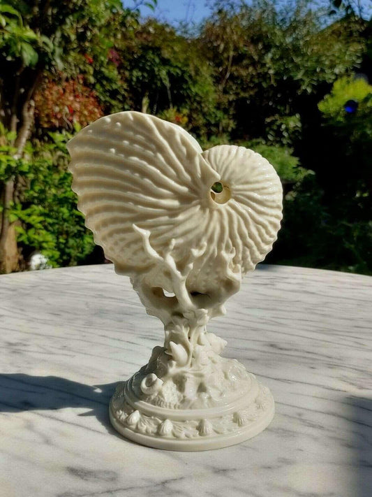 1883 Antique Victorian Royal Worcester Porcelain Nautilus Shell Display Vase