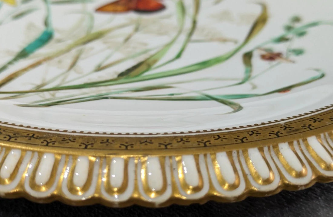 19th Century Aesthetic Movement Royal Worcester Hand painted Butterfly Plate Victorian Antique
