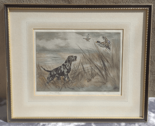 Henry Wilkinson (1921-2011) Signed Colour Etching Labrador Hunting Mallard Ducks - Tommy's Treasure