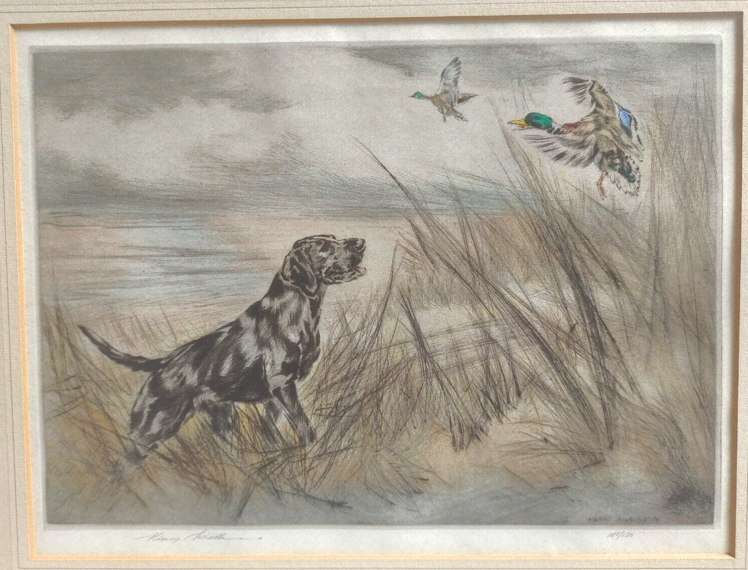 Henry Wilkinson 1921-2011 Signed Colour Etching Labrador Hunting Mallard Ducks